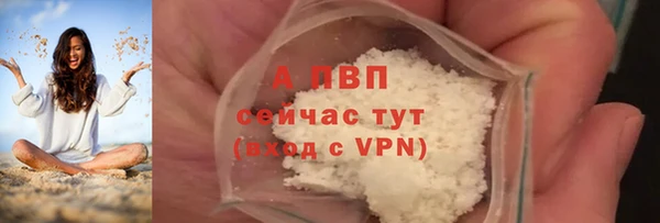 прущие грибы Нефтегорск