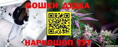 амф Кимры