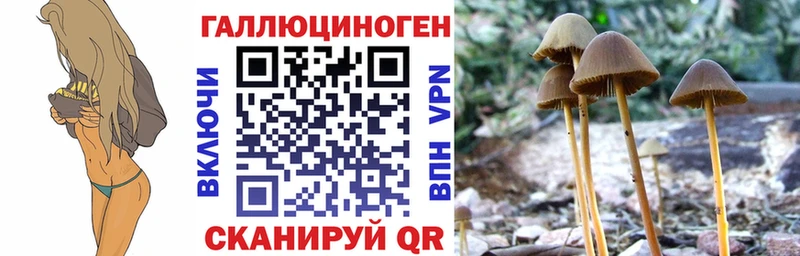 Псилоцибиновые грибы прущие грибы Краснодар