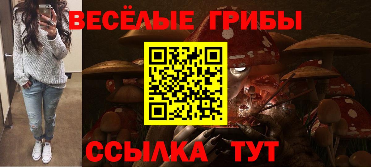 Псилоцибиновые грибы ЛСД Краснодар