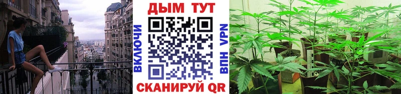закладка  маркетплейс клад  Шишки марихуана индика  Краснодар 